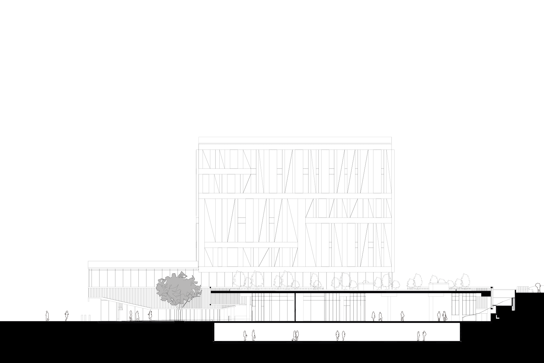 Ascent image 2
