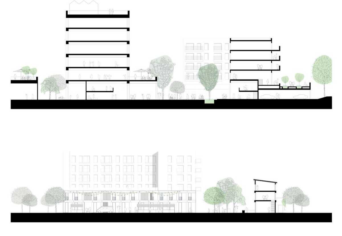 Bulrush Yards image 3